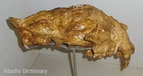 جگوار اروپایی